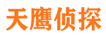 东兰天鹰私家侦探公司